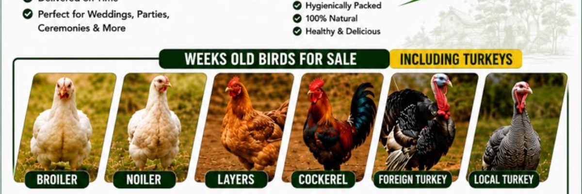 AOF FARM