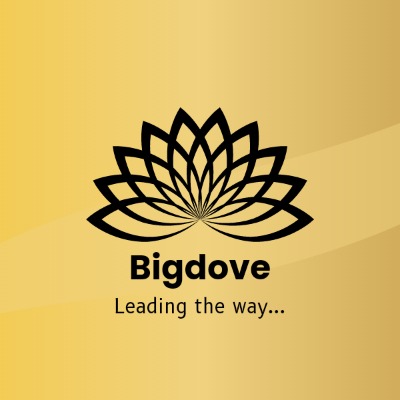 bigdove logo